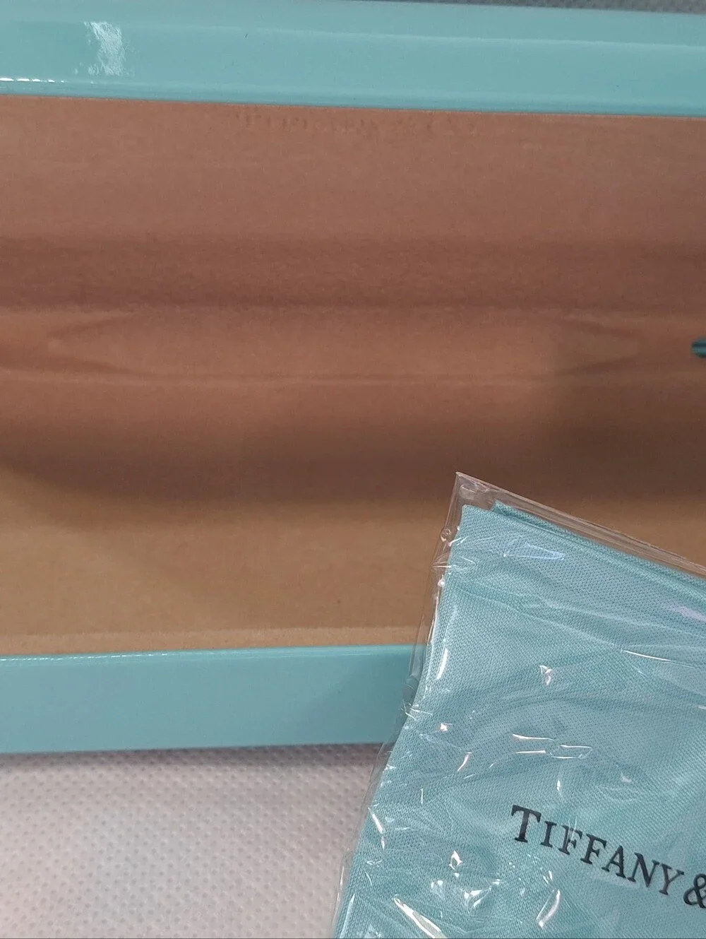 Tiffany & Co. Robin's Egg Blue Eyewear Case